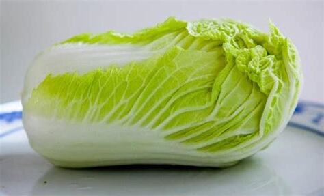 大白菜 意思